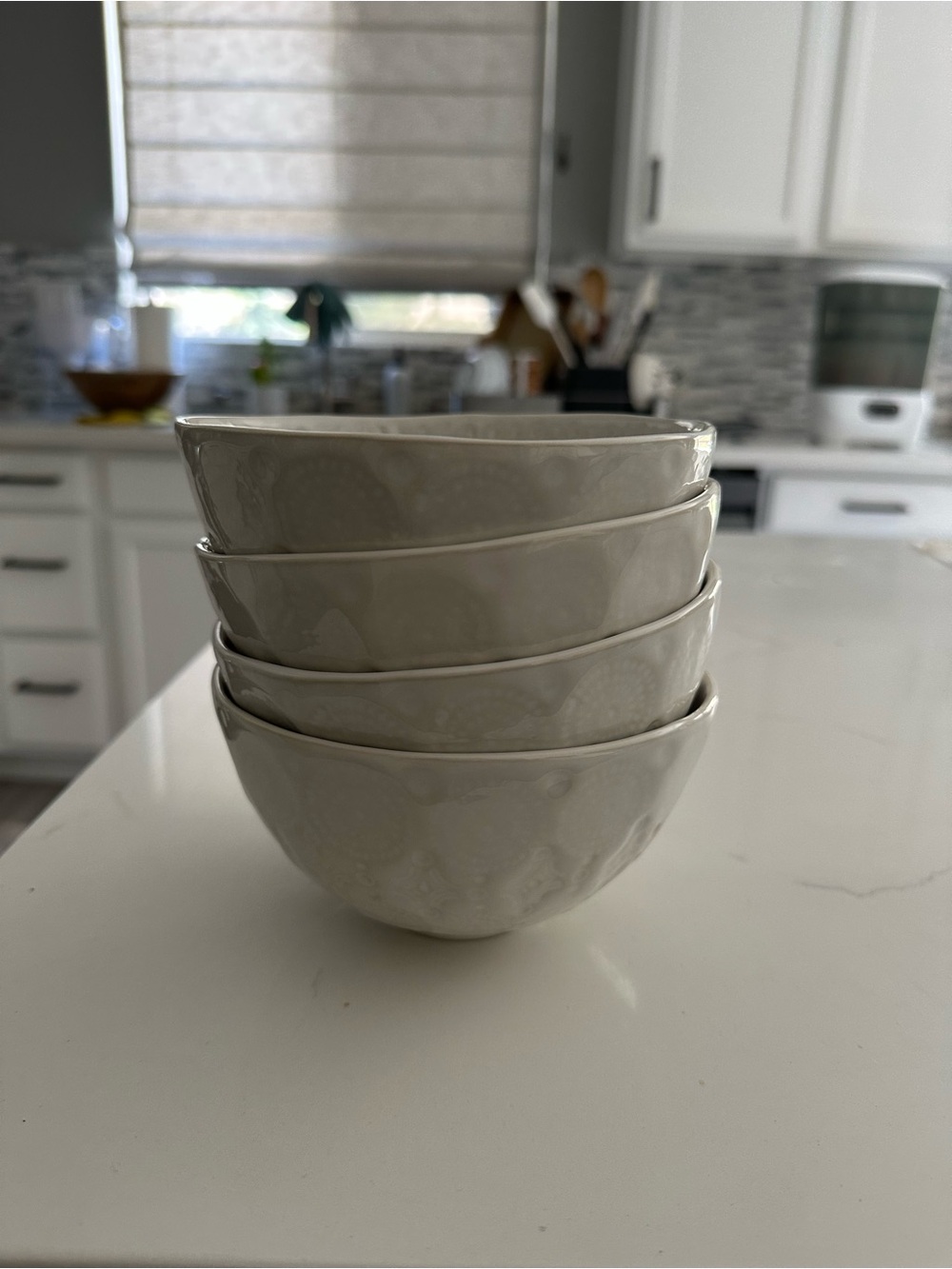 Set of 4 Dinner Bowls fr Anthropologie (Havana)